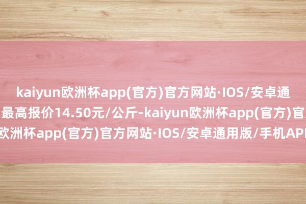 kaiyun欧洲杯app(官方)官方网站·IOS/安卓通用版/手机APP下载当日最高报价14.50元/公斤-kaiyun欧洲杯app(官方)官方网站·IOS/安卓通用版/手机APP下载