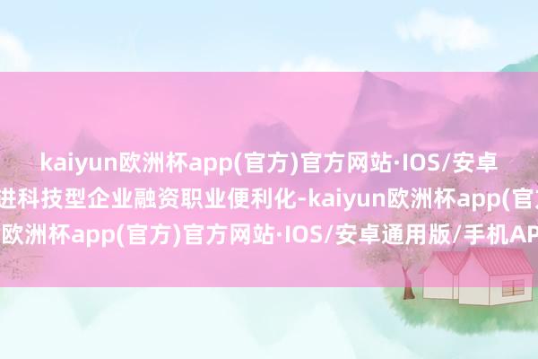 kaiyun欧洲杯app(官方)官方网站·IOS/安卓通用版/手机APP下载促进科技型企业融资职业便利化-kaiyun欧洲杯app(官方)官方网站·IOS/安卓通用版/手机APP下载