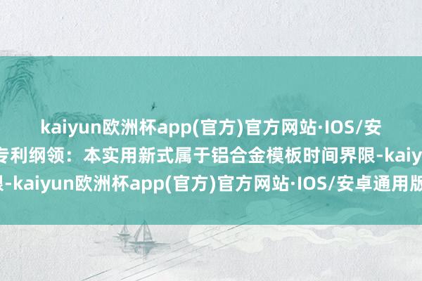 kaiyun欧洲杯app(官方)官方网站·IOS/安卓通用版/手机APP下载专利纲领：本实用新式属于铝合金模板时间界限-kaiyun欧洲杯app(官方)官方网站·IOS/安卓通用版/手机APP下载