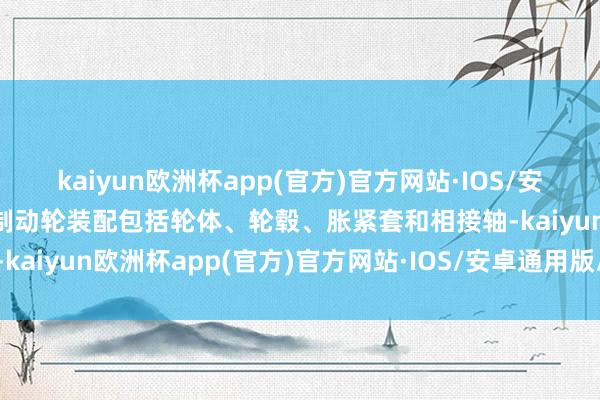 kaiyun欧洲杯app(官方)官方网站·IOS/安卓通用版/手机APP下载制动轮装配包括轮体、轮毂、胀紧套和相接轴-kaiyun欧洲杯app(官方)官方网站·IOS/安卓通用版/手机APP下载