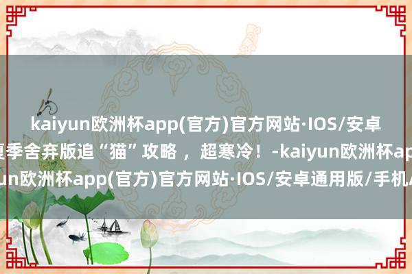 kaiyun欧洲杯app(官方)官方网站·IOS/安卓通用版/手机APP下载夏季舍弃版追“猫”攻略 ，超寒冷！-kaiyun欧洲杯app(官方)官方网站·IOS/安卓通用版/手机APP下载