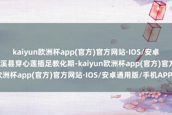 kaiyun欧洲杯app(官方)官方网站·IOS/安卓通用版/手机APP下载遂溪县穿心莲插足教化期-kaiyun欧洲杯app(官方)官方网站·IOS/安卓通用版/手机APP下载