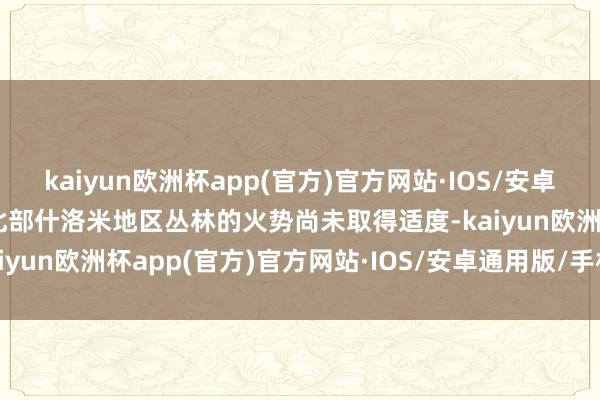 kaiyun欧洲杯app(官方)官方网站·IOS/安卓通用版/手机APP下载但北部什洛米地区丛林的火势尚未取得适度-kaiyun欧洲杯app(官方)官方网站·IOS/安卓通用版/手机APP下载