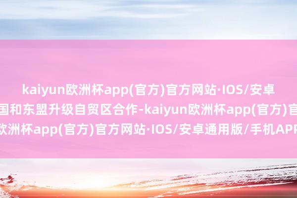 kaiyun欧洲杯app(官方)官方网站·IOS/安卓通用版/手机APP下载中国和东盟升级自贸区合作-kaiyun欧洲杯app(官方)官方网站·IOS/安卓通用版/手机APP下载