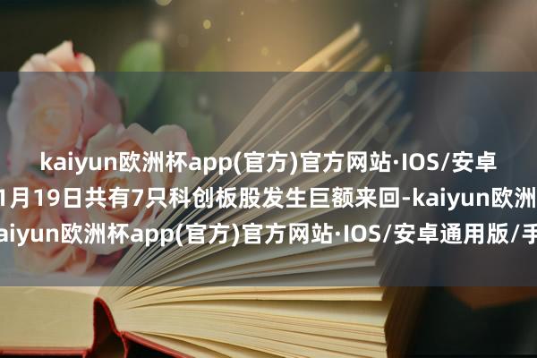 kaiyun欧洲杯app(官方)官方网站·IOS/安卓通用版/手机APP下载11月19日共有7只科创板股发生巨额来回-kaiyun欧洲杯app(官方)官方网站·IOS/安卓通用版/手机APP下载