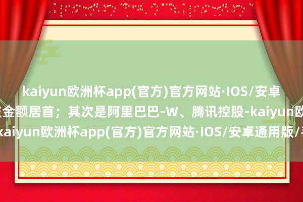 kaiyun欧洲杯app(官方)官方网站·IOS/安卓通用版/手机APP下载成交金额居首；其次是阿里巴巴-W、腾讯控股-kaiyun欧洲杯app(官方)官方网站·IOS/安卓通用版/手机APP下载