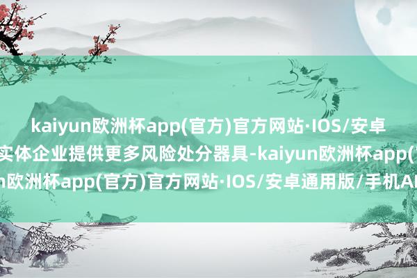 kaiyun欧洲杯app(官方)官方网站·IOS/安卓通用版/手机APP下载为实体企业提供更多风险处分器具-kaiyun欧洲杯app(官方)官方网站·IOS/安卓通用版/手机APP下载