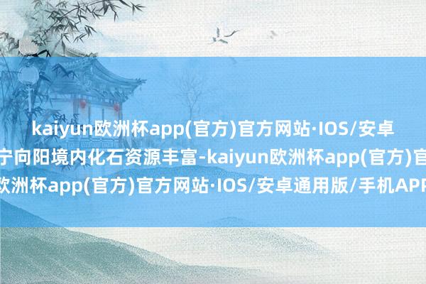 kaiyun欧洲杯app(官方)官方网站·IOS/安卓通用版/手机APP下载辽宁向阳境内化石资源丰富-kaiyun欧洲杯app(官方)官方网站·IOS/安卓通用版/手机APP下载