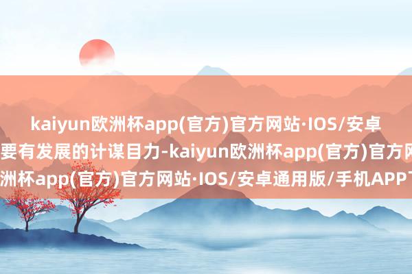 kaiyun欧洲杯app(官方)官方网站·IOS/安卓通用版/手机APP下载也要有发展的计谋目力-kaiyun欧洲杯app(官方)官方网站·IOS/安卓通用版/手机APP下载