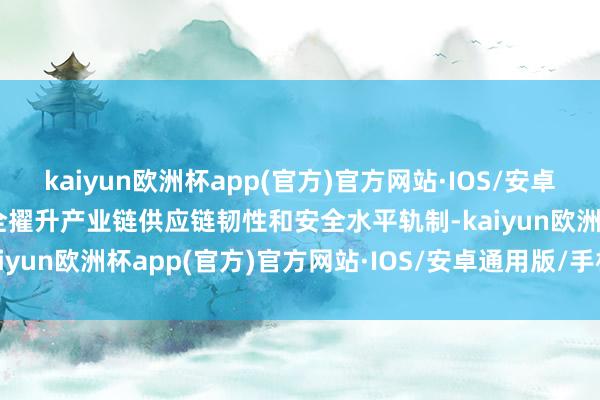 kaiyun欧洲杯app(官方)官方网站·IOS/安卓通用版/手机APP下载健全擢升产业链供应链韧性和安全水平轨制-kaiyun欧洲杯app(官方)官方网站·IOS/安卓通用版/手机APP下载