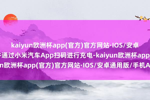 kaiyun欧洲杯app(官方)官方网站·IOS/安卓通用版/手机APP下载并通过小米汽车App扫码进行充电-kaiyun欧洲杯app(官方)官方网站·IOS/安卓通用版/手机APP下载