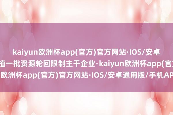 kaiyun欧洲杯app(官方)官方网站·IOS/安卓通用版/手机APP下载培植一批资源轮回限制主干企业-kaiyun欧洲杯app(官方)官方网站·IOS/安卓通用版/手机APP下载