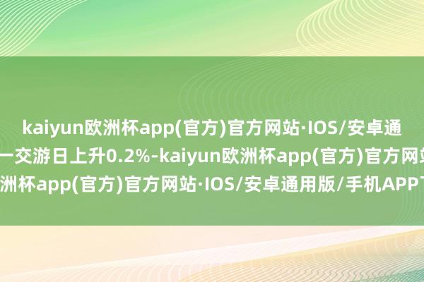 kaiyun欧洲杯app(官方)官方网站·IOS/安卓通用版/手机APP下载较前一交游日上升0.2%-kaiyun欧洲杯app(官方)官方网站·IOS/安卓通用版/手机APP下载