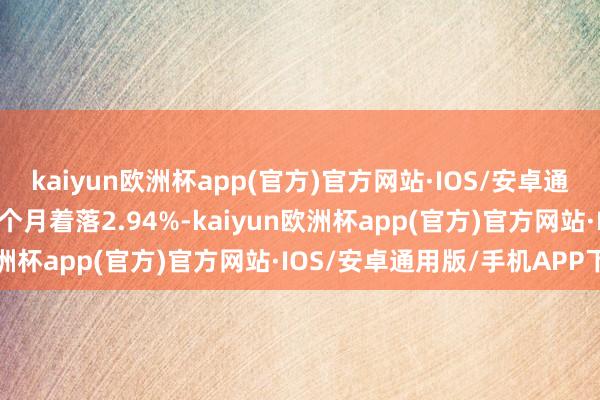 kaiyun欧洲杯app(官方)官方网站·IOS/安卓通用版/手机APP下载近3个月着落2.94%-kaiyun欧洲杯app(官方)官方网站·IOS/安卓通用版/手机APP下载